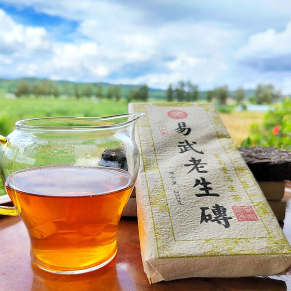 HelloYoung Yiwu Original Old Tree Tea Brick Healthy Drink Top-Grade Pu'er Tea Brick 200g