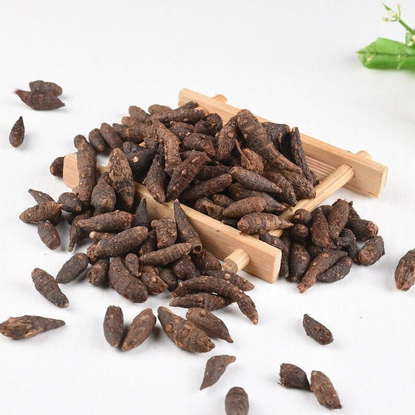 Dried Nut Grass Nutgrass Rhizoma Cyperi Rhizome Rhizoma Cyperi Xiang Fu Zi 500g