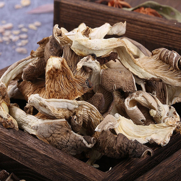 Fresh Oyster Mushroom Strips, Phoenix Tail Mushroom, Yunnan Farm Wholesale