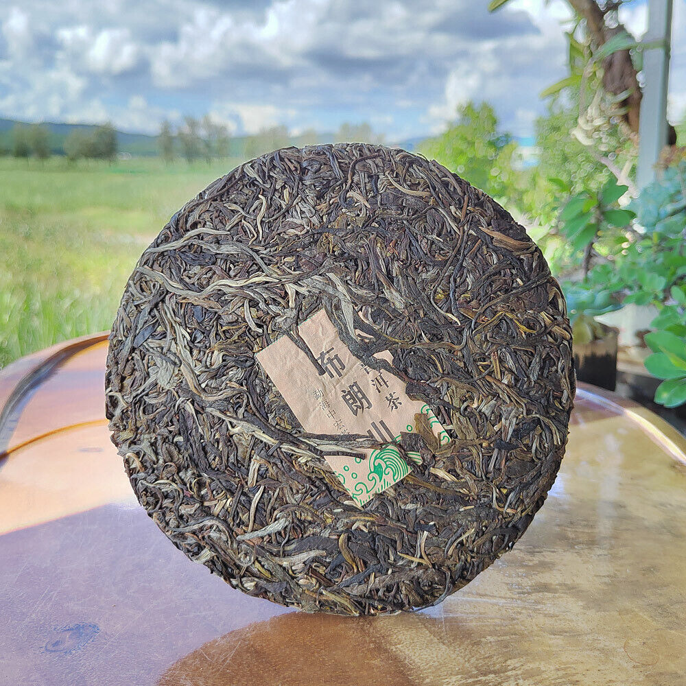 HelloYoung Yunnan Menghai Pu'er Tea Brown Mountain Early Spring Arbor Pu'er Raw Tea Cake