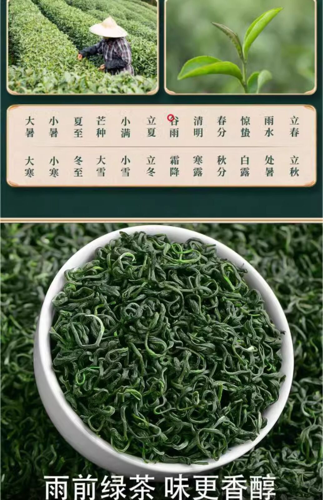 High Mountain Cloud Tea 2025 New Spring Green Tea Fragrant Maojian Loose Leaf