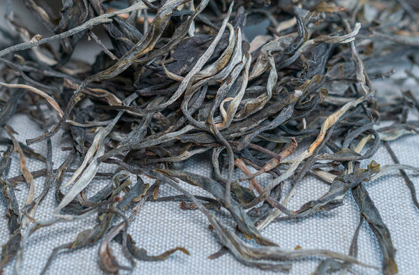 HelloYoung 500g Icelandic Dam Crooked Head Spring Ancient Pu-erh Raw Tea Honey Orchid Aroma