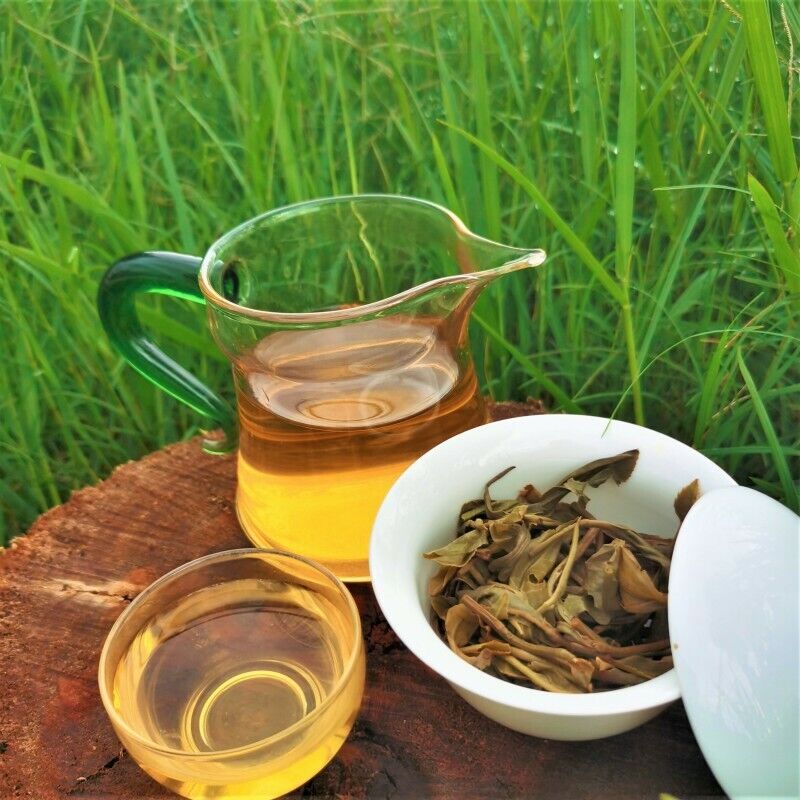 HelloYoung 357g Top Pu-Erh Spring Tea Cake Zhonghong Yin Bow Ancient Tree Tea Yiwuwanggong