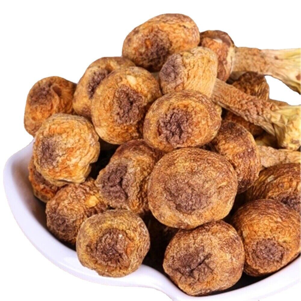 HelloYoung 100%Natural Dried Almond Mushroom Agaricus Blazei Jisongrong Almond Chinese Herb Secondary image