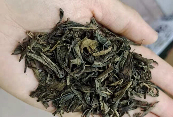Natural Dried Gingko Biloba Tea Dry Green Gingko Healthy Herbal Gingko Tea 500g