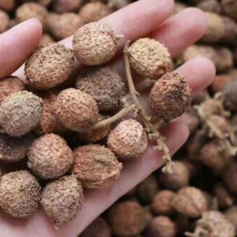 HelloYoung 100g Chun Sha Ren Spring Sandnut Dried Fruit Healthy Herbal Tea 煲汤泡茶 泡酒养胃养生茶调理肠胃