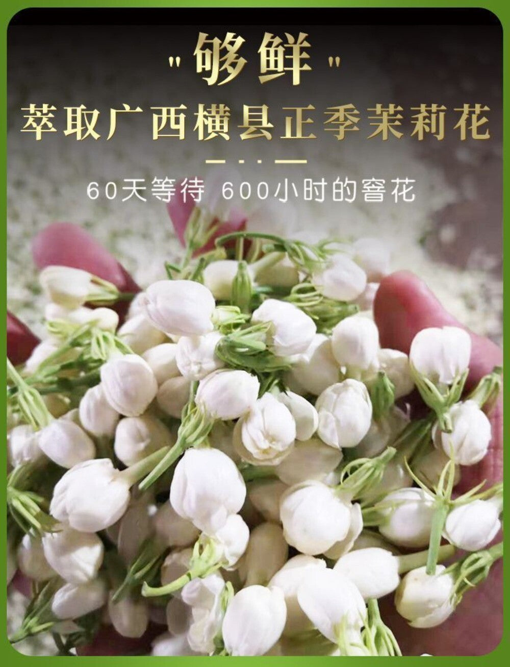 Jasmine Biluochun Green Tea 2024 Fresh Fragrant Loose Leaf Premium 125g