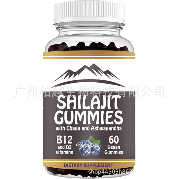 Overall Health 60 Gummies Shilajit Gummies Potent Antioxidant Immune Support