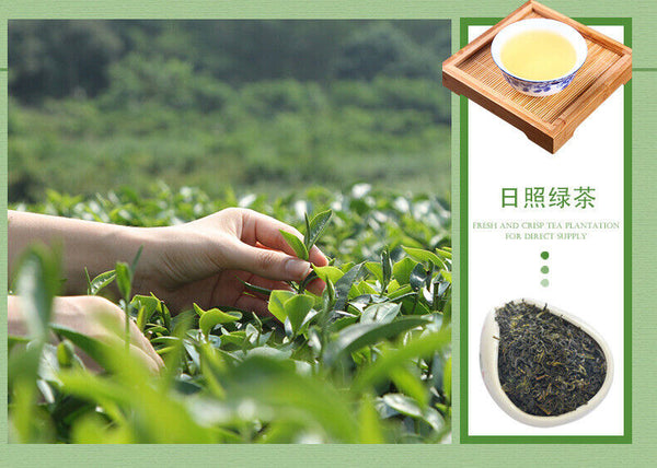 HelloYoung New Tea Shandong Rizhao Green Tea Rizhao Jufeng Buluo Green Tea 500g/1.1lb