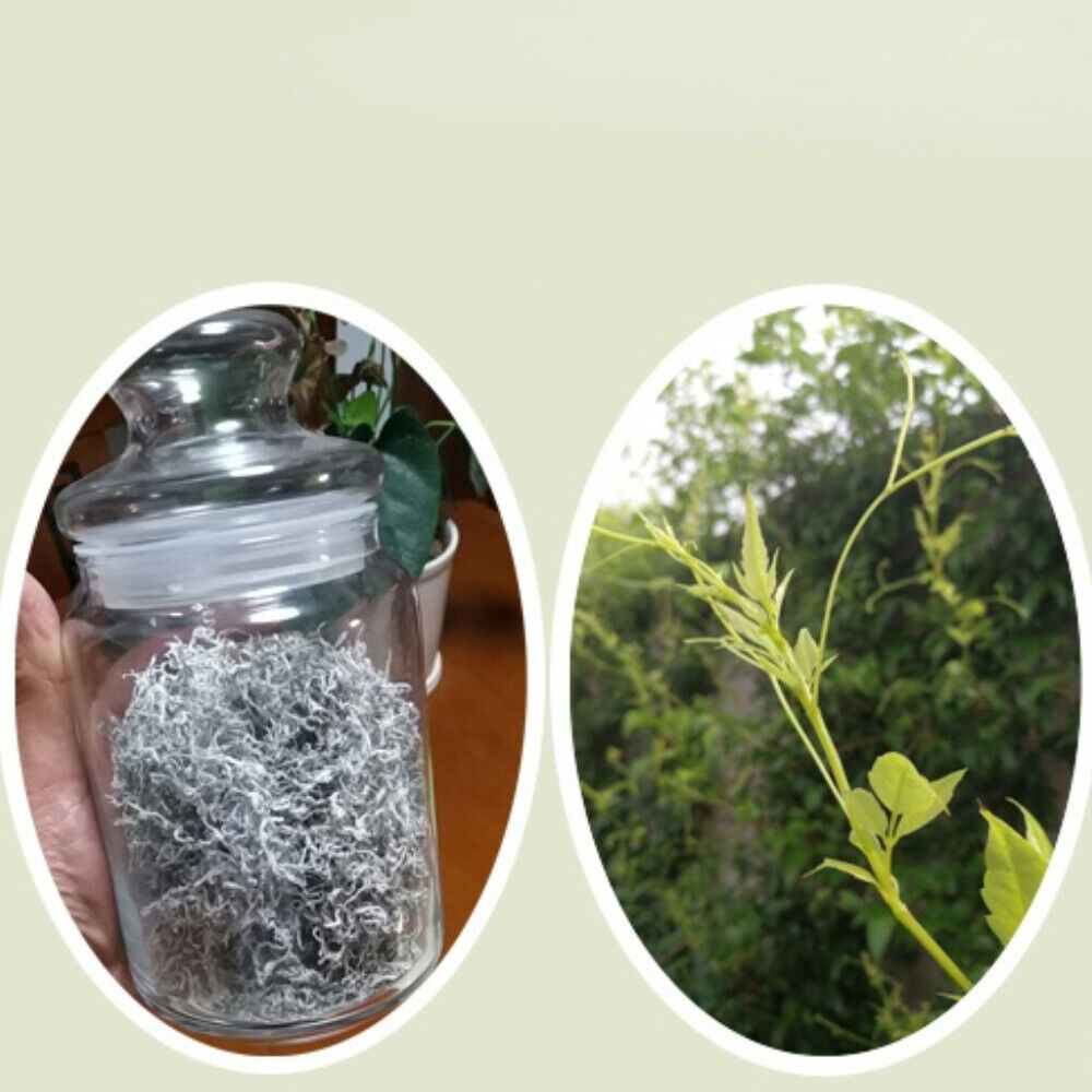 HelloYoung Organic Ecology Tea Top Grade ZhangJiaJie Mao Yan Mei Moyeam Wild Vines Teng Cha