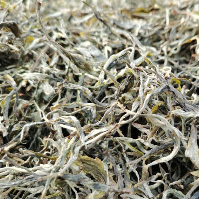 HelloYoung 200gOrganic Spring Tea Weight Loss Healthy Drink Fenghuangwo Ancient Tree Tea