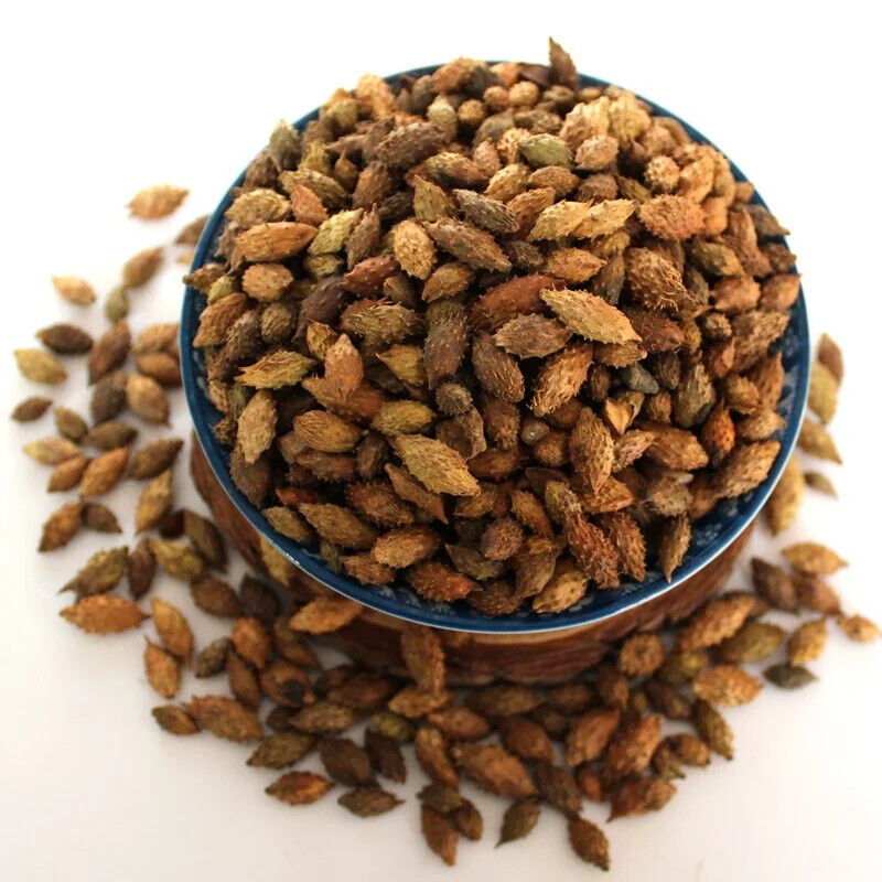 100% Pure Siberian Cocklebur Fruit  / Xanthium Sibiricum Herbs 250g Secondary image