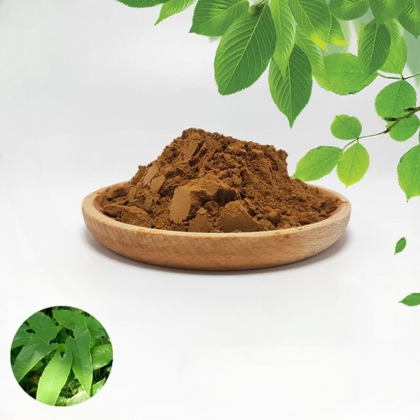 Horny Goat Weed Extract ( Epimedium ) 95% Icariin High quality Powder