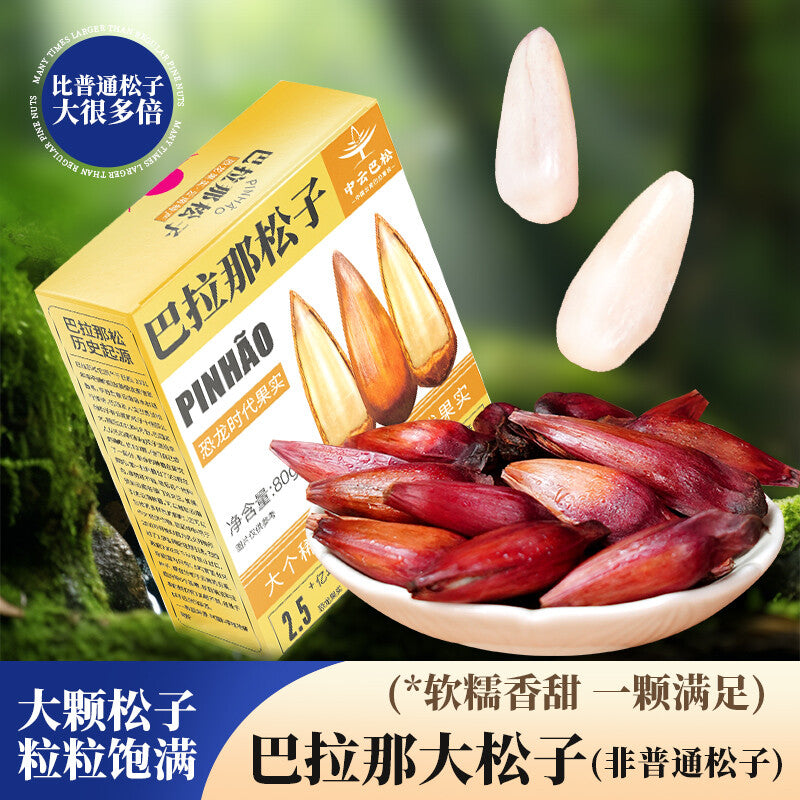 Premium Authentic Parana Pine Nuts Natural High Quality For Sale On Ebay Secondary image