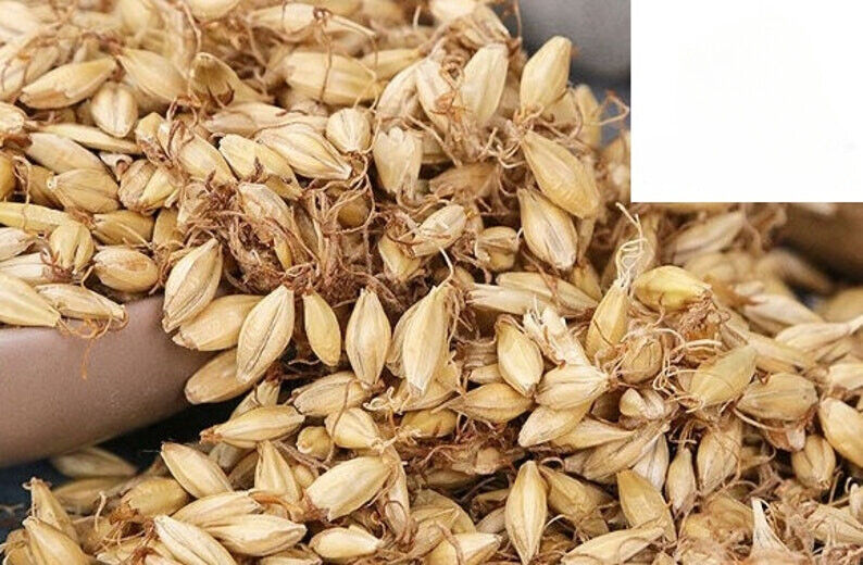 Mai Ya/麦芽/Premium/Malt/Fructus Hordei Germinatus Malt