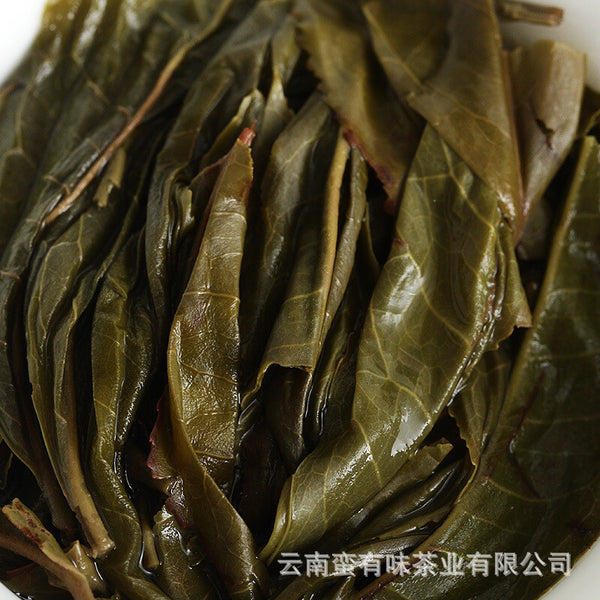 Yunnan Puerh Tea Spring Tea Plum Turnip Arbor Raw Big Tree Tea 500g loose tea