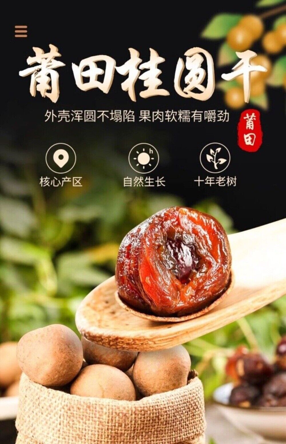 Jumbo Dried Longan 500g Small Seed Premium Sweet Fruit Snack