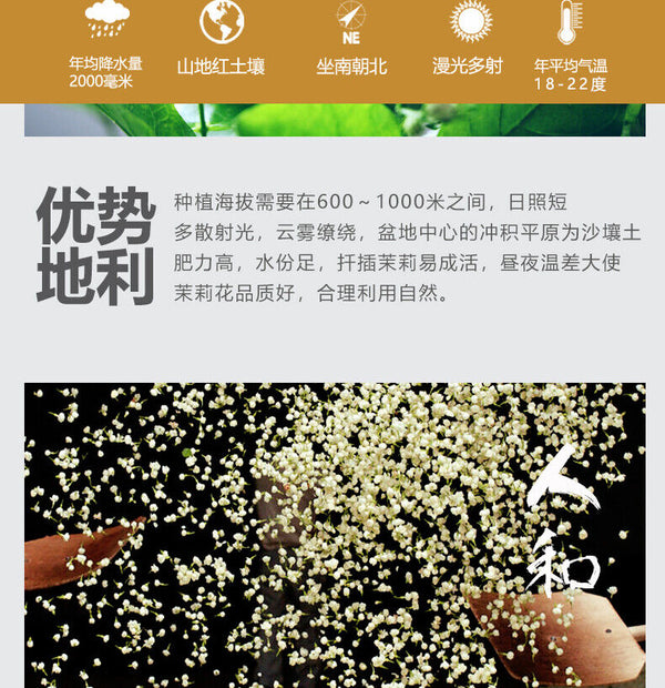 HelloYoung Strong Fragrance Jasmine Tea New Tea Loose Drifting Fragrance Herbal Tea 100g