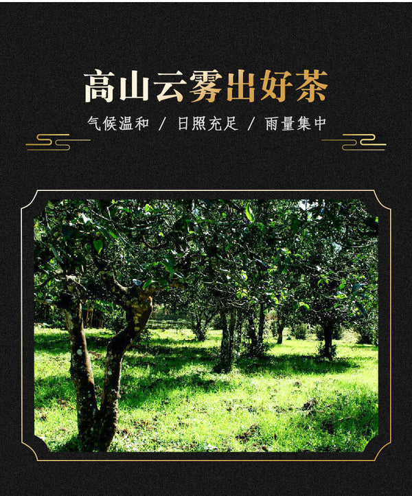 357g  Raw Tea Pu'er Tea Cake Menghai Icelandic Ancient Tree Tea 2012 Pu'er Tea