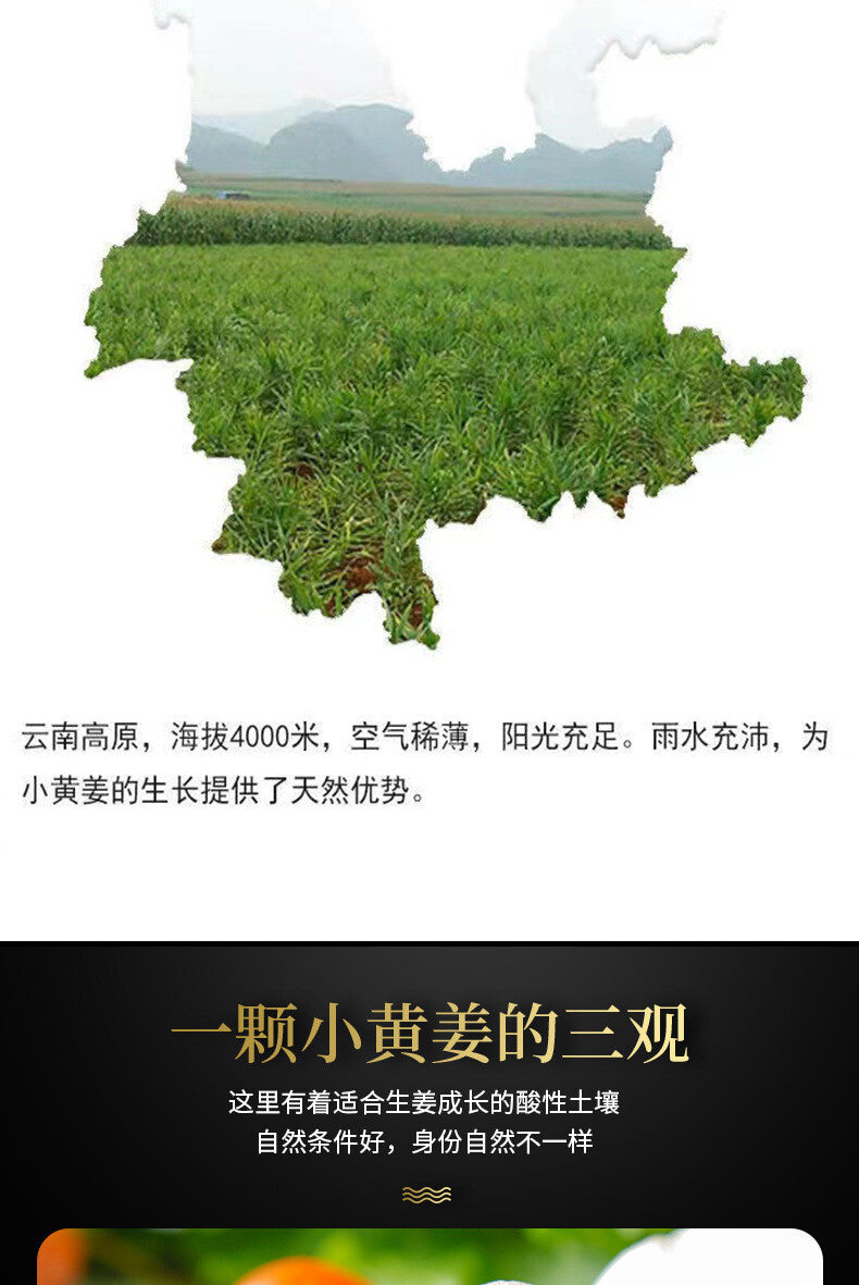 Yunnan Dried Ginger Powder Small Yellow Ginger Powder Edible Seasoning 200g