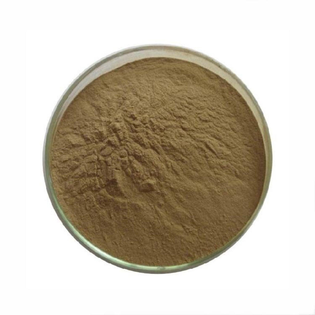 1LB Gymnema Sylvestre Extract Powder, 10:1 Ratio, Pure
