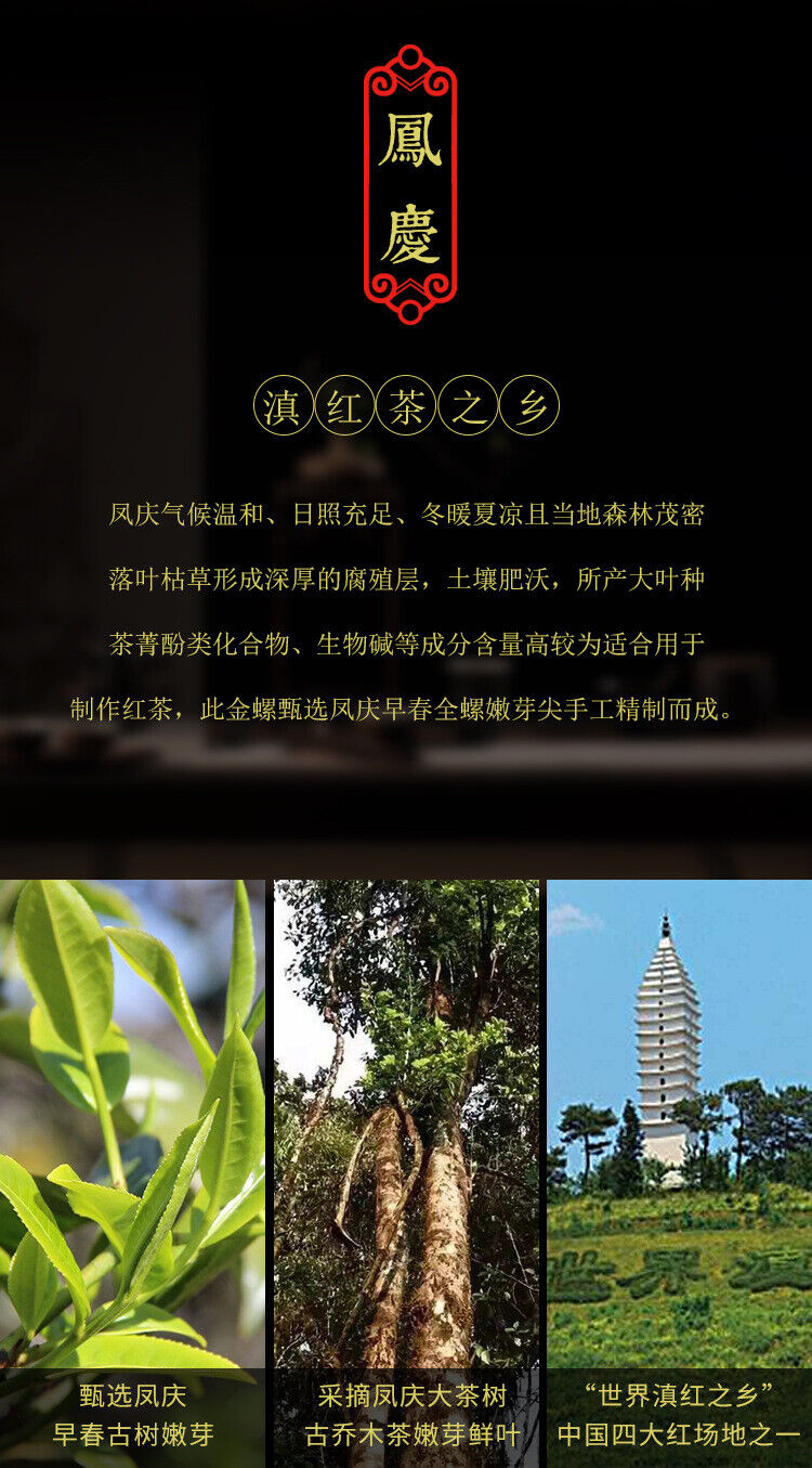 HelloYoung Fengqing Dian Hong tea gold snail spring tea Yunnan black tea red snail gold bud
