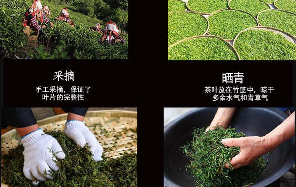 HelloYoung Yunnan Tea Lincang Mengku Icelandic Mother Tree Pu'er Raw Tea 357g Cake Tea