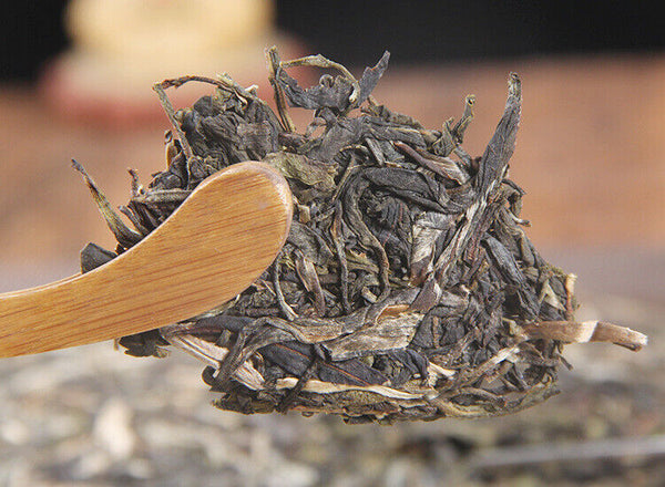 HelloYoung Icelandic raw tea cake spring tea pure sweet Mengku Pu'er seven seed cake tea