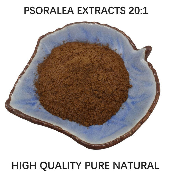 500g High quality Pure Psoralea Extract 20:1 Powder Sealed Packaging