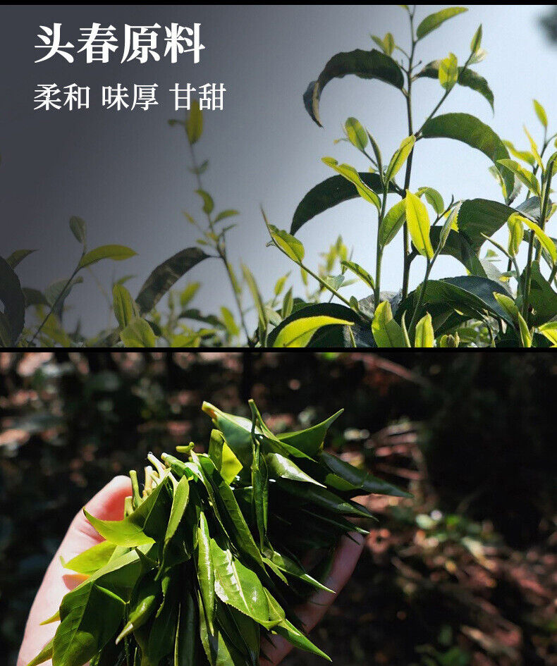 HelloYoung 500gYunnan Puerh Raw Tea Leaves Mini Small Yuan Bao Old Tree Pu'er Small Tuo Tea