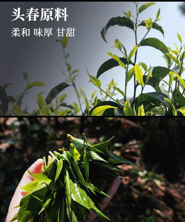 HelloYoung 500gYunnan Puerh Raw Tea Leaves Mini Small Yuan Bao Old Tree Pu'er Small Tuo Tea