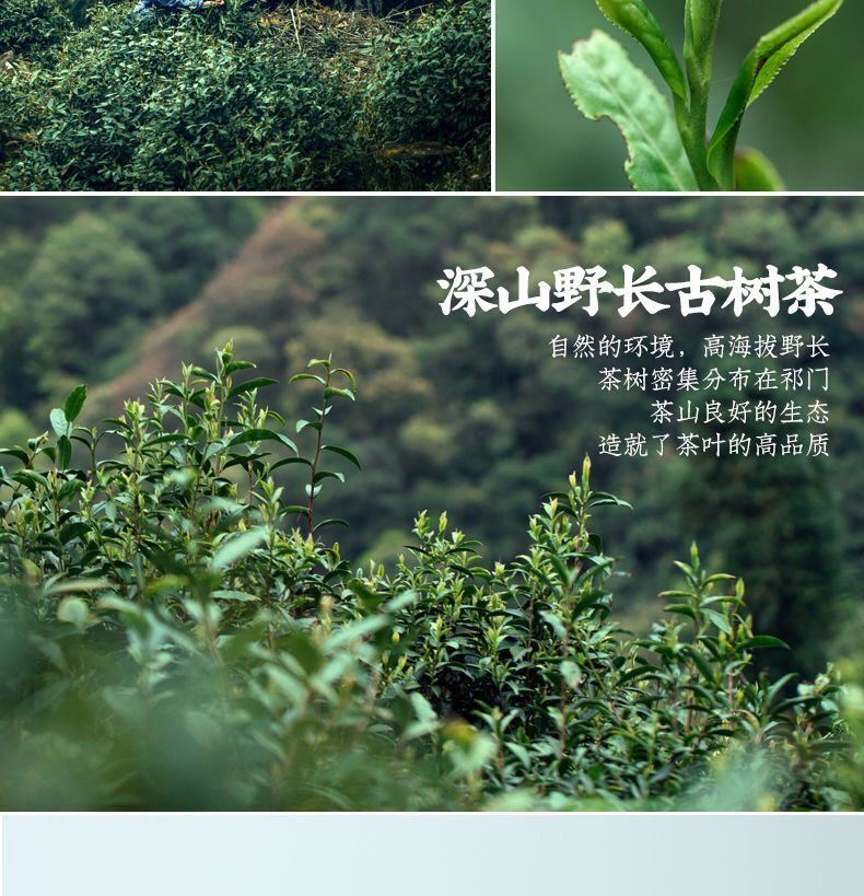 Authentic Anhui Keemun Gongfu Black Tea Honey Fragrance 250g Keemun Black Tea