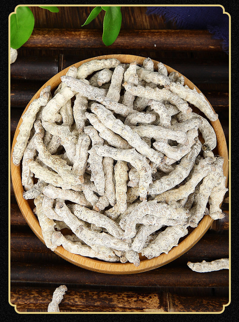 HelloYoung Stiffworms Chinese Herbal Medicine Stiffworms White Stiffworms 500g/1.1lb