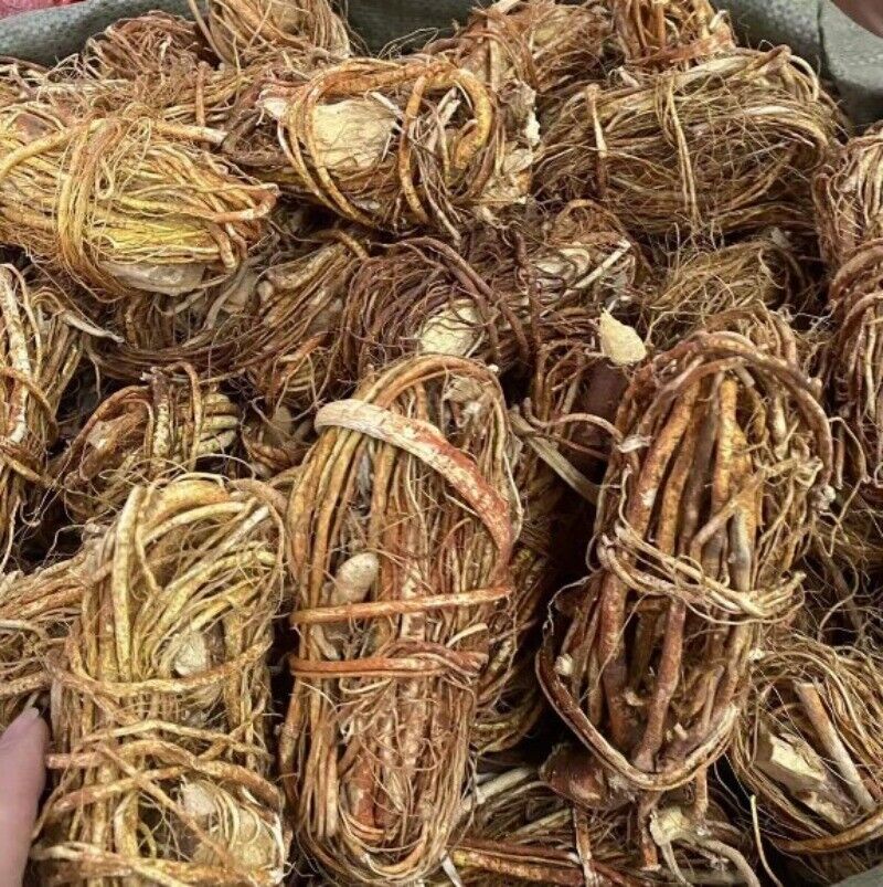 HelloYoung New Dried Five Fingers Peach Chinese Herbal Medicine Five Fingers Peach Tea 500g