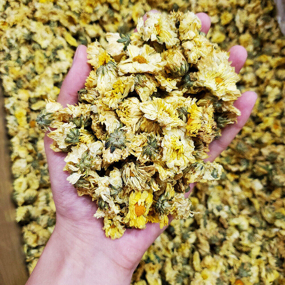 HelloYoung New Fetal Chrysanthemum HangBai Chrysanthemum Infusion Herbal Tea500g/1.1lb