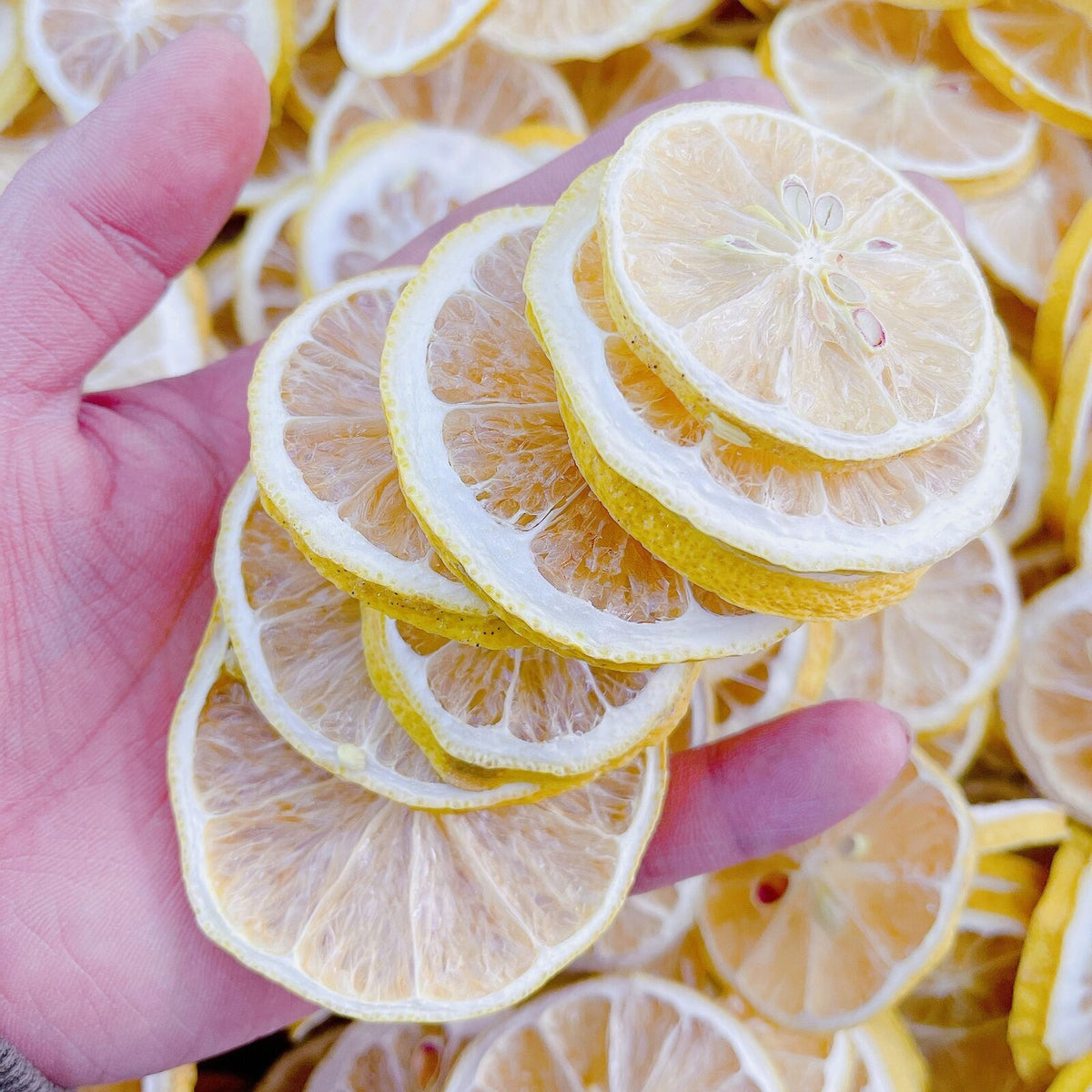 HelloYoung New Dried Lemon Slices Dried Lemon Slices Freeze Dried Lemon Slices 500g
