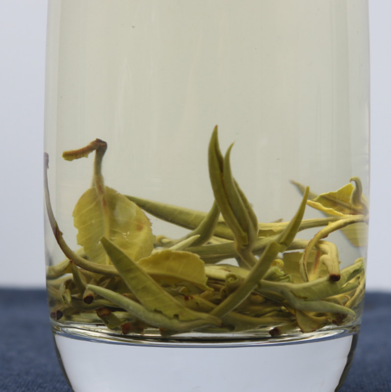 HelloYoung 500g loose tea early spring tea Cui Ming new tea Yunnan green healthy tea