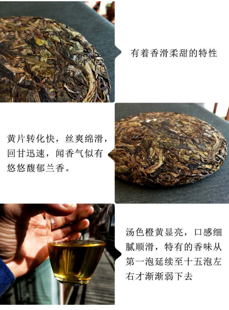 HelloYoung 357g Pu'er raw tea golden leaves golden Mengku yellow slices, seven seed cakes