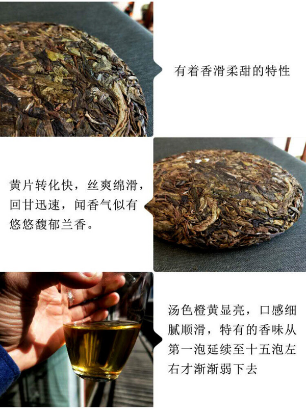 HelloYoung 357g Pu'er raw tea golden leaves golden Mengku yellow slices, seven seed cakes