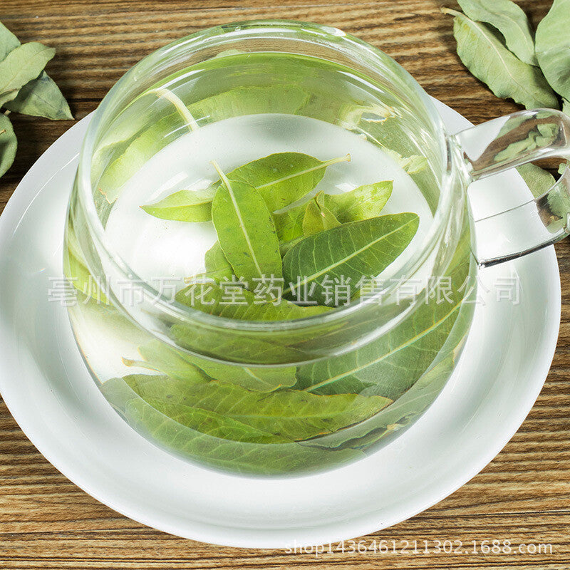 Apocynum Venetum Leaf Chinese Herbal Tea Health Tea