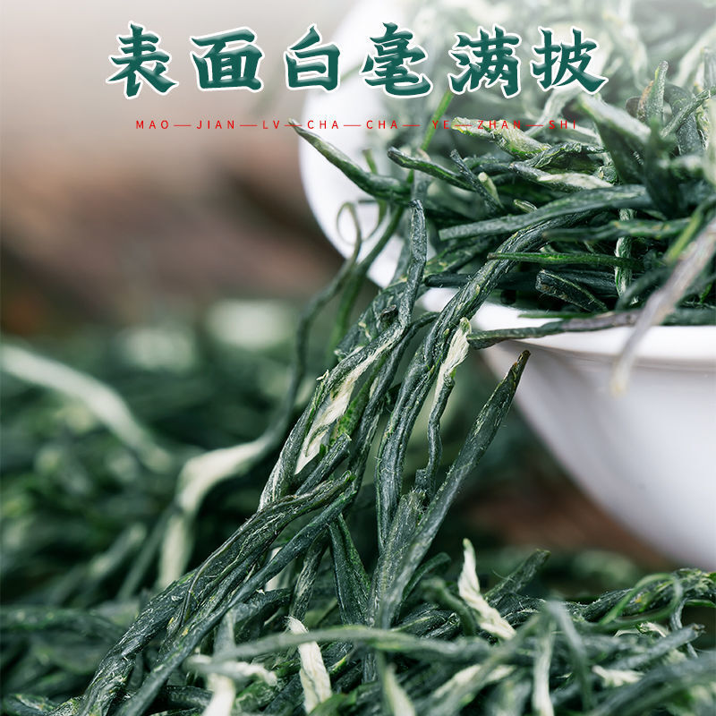 Green Tea Maojian Tea Strong Aroma High Mountain Mist Green Tea Canned 125g