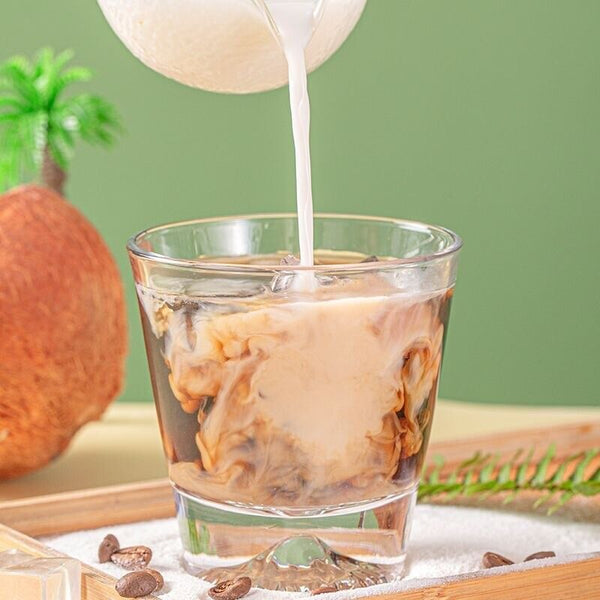 Instant Coconut Powder – Bulk Pack for Bubble Tea & Desserts, Commercial Use
