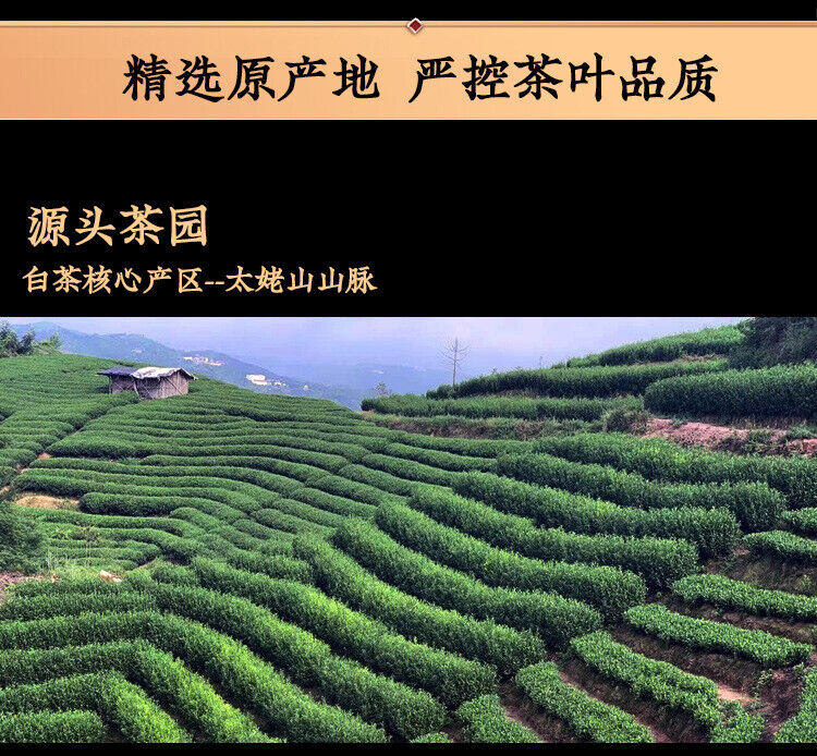 HelloYoung 250g Fuding White Tea High Mountain Sun Date Fragrance Old Shoumei Tea Brick