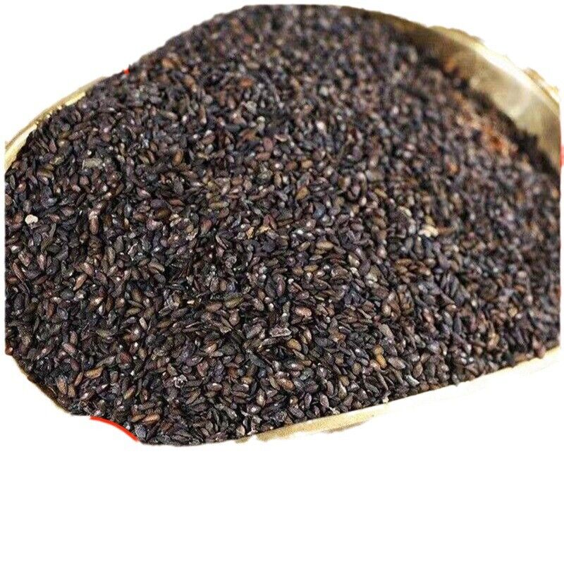 HelloYoung Psyllium Chinense Herbs Clean No Impurities No Sulfur New Psyllium Seeds 500g