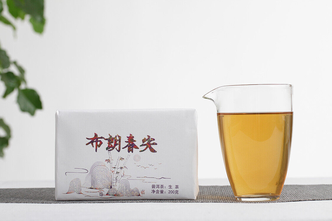 HelloYoung 200g Yunnan Pu'er Tea Bulang Spring Tip Pu'er Raw Brick Pre-Mingling Spring Tea