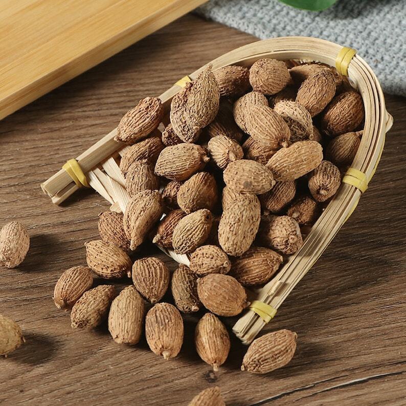 Dried Herbs Fructus Amomi, Sha Ren, 砂仁 Chinese Spice Main image