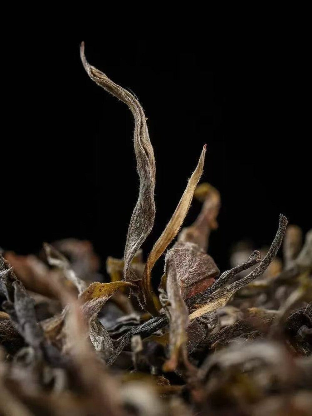 Yunnan Yiwu Ancient Tree Raw Pu-erh Tea Loose Leaf Tea Bags Premium