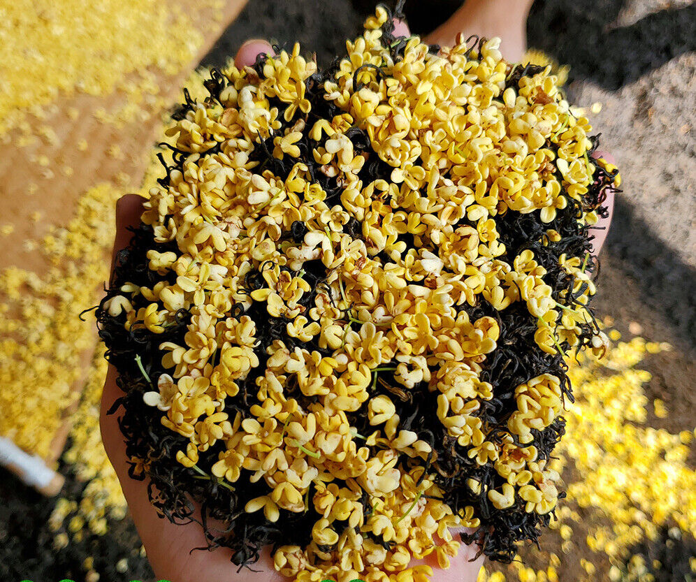HelloYoung New Tea Osmanthus Black Tea JinJunMei DanGui Xiao Seed Black Tea 500g/1.1lb Main image