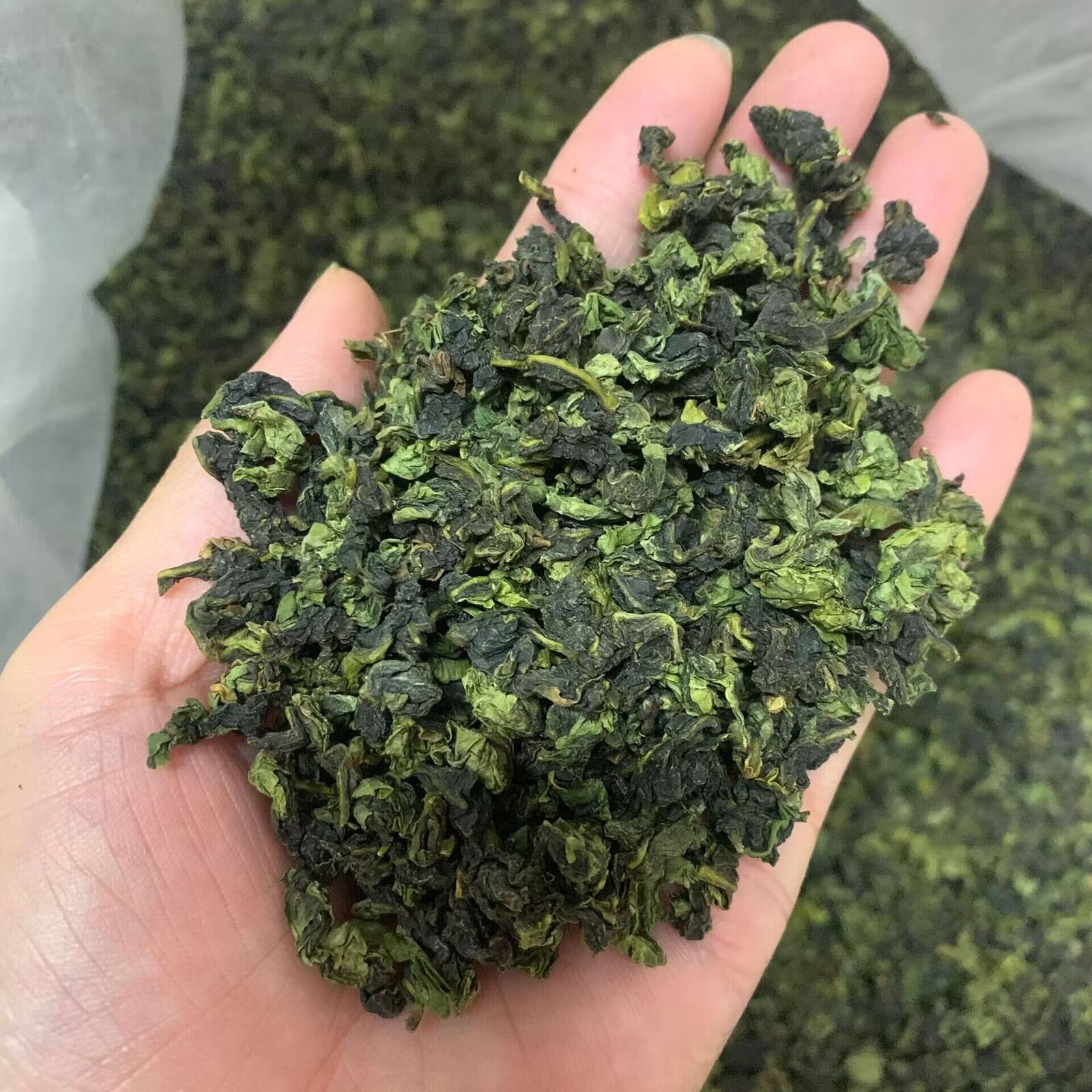 Organischer Orchideenaroma Oolong Tee TieGuanYin Oolong Tee 32bags 250g/8.8oz