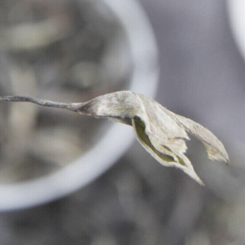 500g Loose Spring Tea Big Tree Grand Xueshan Pu-erh Cha Tea